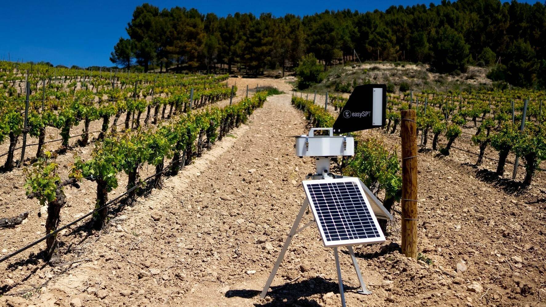 viticast-viticultura-sostenible|viticast-viticultura-sostenible